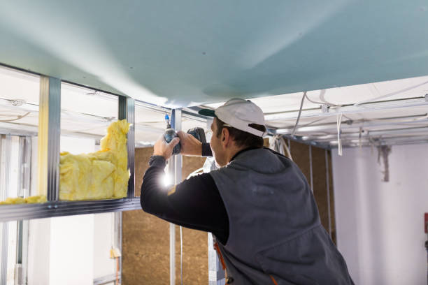 Types of Insulation We Offer in Carlsbad, CA