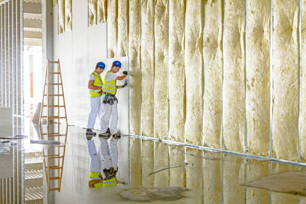 Best Blown-in Insulation in Rlsbad, CA